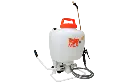 2.webp