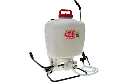 2.webp